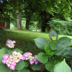 Image of part of the Gardens at Chateau de Bellefond